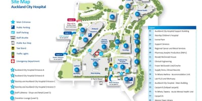 Térkép Auckland kórház